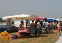 Marché du terroir